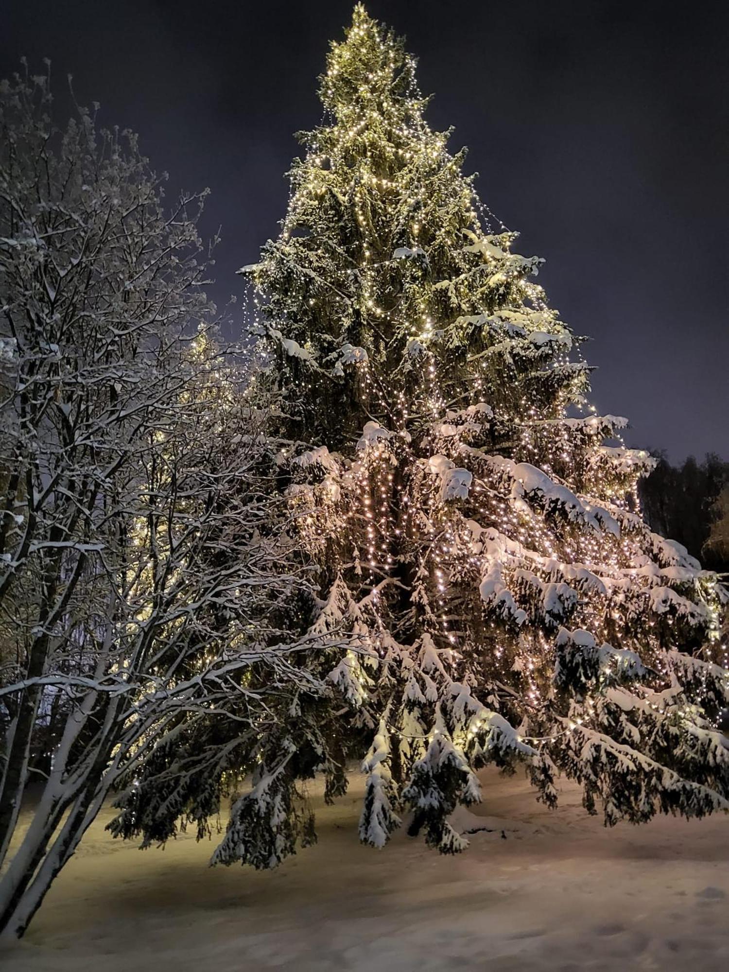 Apartamento Cozy Arctic Heart Rovaniemi Exterior foto